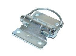 P�nt + �ap ZW-03.40